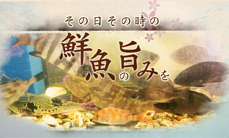 その日その時の鮮魚の旨みを